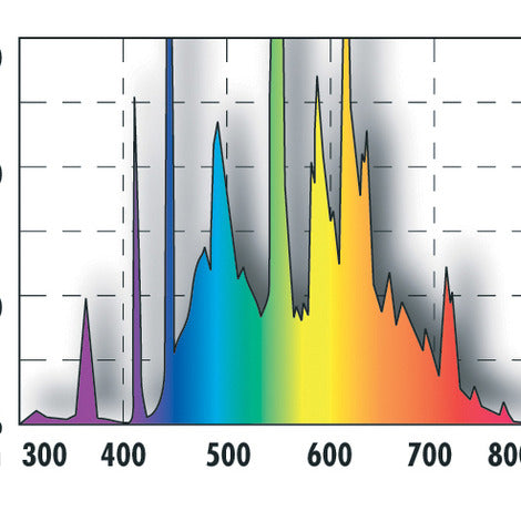 Neon JBL Proflow U800