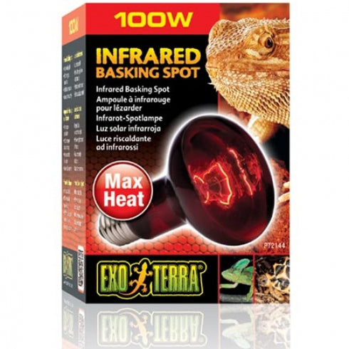 Lampa Exo Terra Infrared 100W