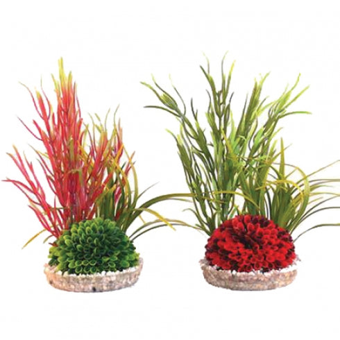 Plante decorative Sydeco Islet Plant 22cm