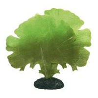 Plante Plastic Acvriu Ginko M