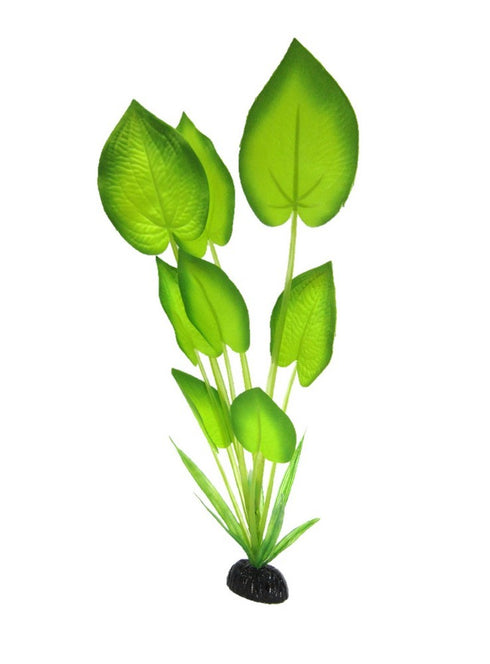 Planta Acvariu Matase Echinodorus Horizontalis 20cm