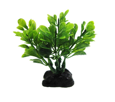Planta Acvariu Plastic Resun Boxwood Green 8cm