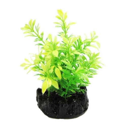 Planta acvariu Resun Bush Green 10 cm