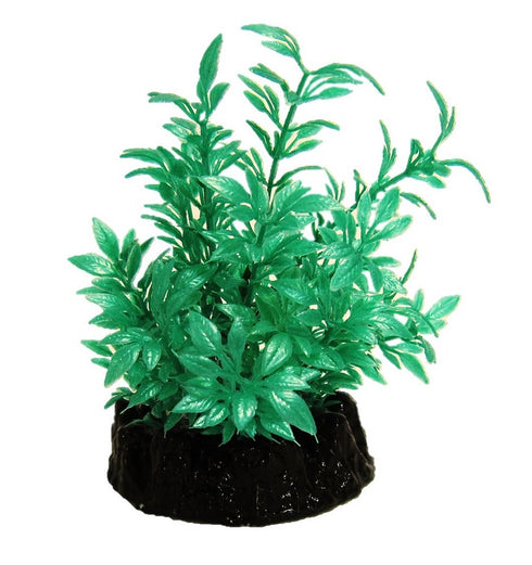 Planta Acvariu Plastic Bush Turcoaz 10 cm