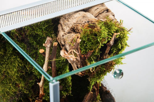 Terariu Diversa Spider 25x30x30 cm