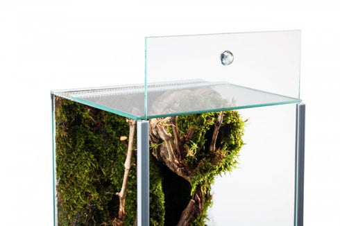 Terariu Diversa Spider 25x30x30 cm