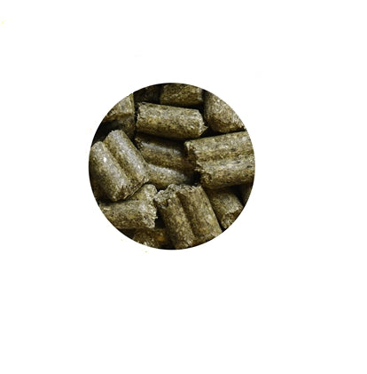 Hrana pentru chinchilla Wellness Chinchilla 1 kg