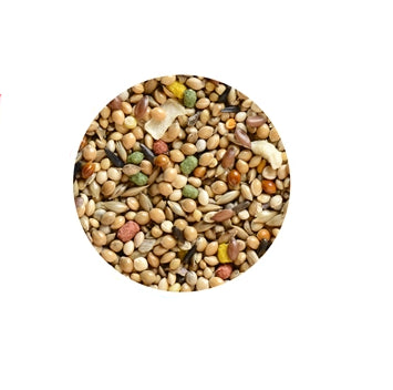 Hrana pentru pasari exotice Wellness 1kg