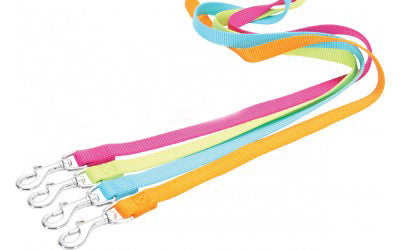 Lesa Portocalie Nylon 20 mm- 1m