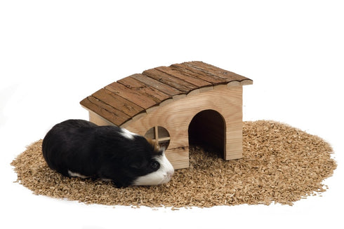 Casuta pentru rozatoare Beeztees 31X23X18