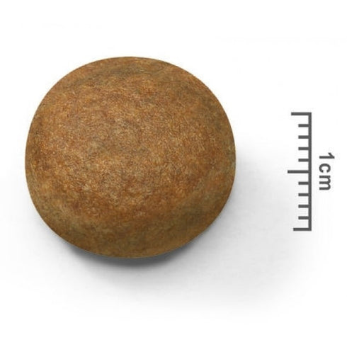 Hrana uscata pentru caini Royal Canin Maxi Adult 15 kg