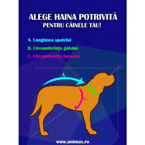 Haina matlasata pentru caini B&B Pet Fashion 80 cm