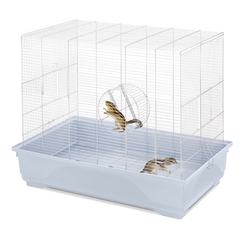 Cusca pentru veverite Imac 80 Crom-Blue