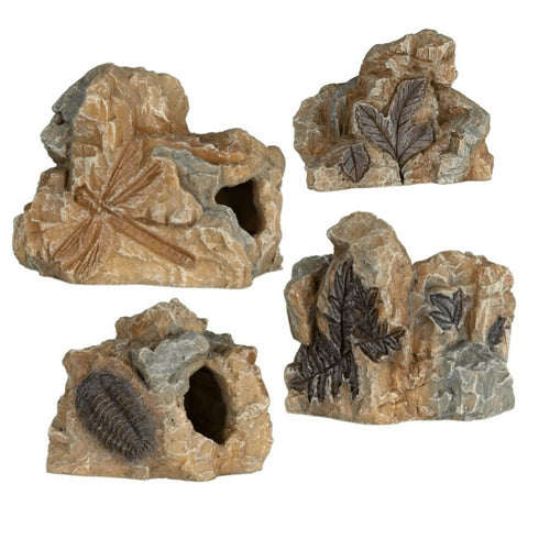 Decor pentru acvariu Trixie Stanca cu fosile 10 cm