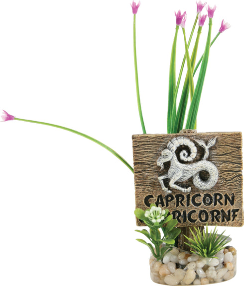 Decor pentru acvariu Zolux Capricorn 75X50X90mm