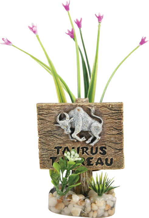 Decor pentru acvariu Zolux Taur 75X50X90mm