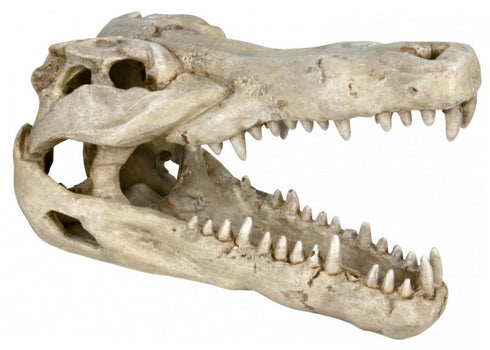 Decor pentru acvariu Trixie Crocodile Skull 14 cm