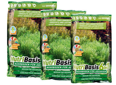 Substrat fertilizant Dennerle NutriBasis 6 in 1 4.8kg