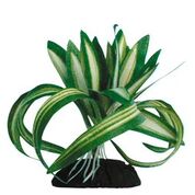 Plante Plastic Chlorophytum S