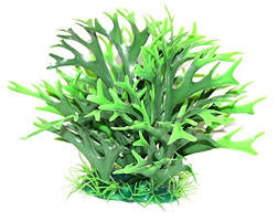 Decor pentru acvariu Croci Planta Feriga 20x16 cm