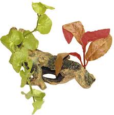 Decor radacina cu plante Small