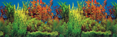 Fundal pentru acvariu Trixie 120 x 50 cm