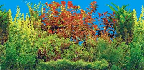 Fundal pentru acvariu Trixie 80 x 40 cm