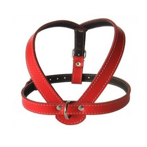 Ham din piele Animax Rosu Nr.4