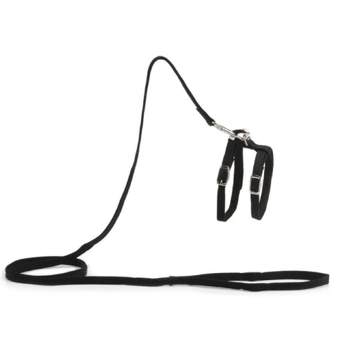 Set lesa cu ham pentru pisici Beeztees Black 130cm