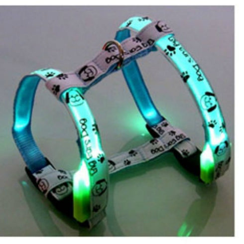 Ham albastru pentru caini Tize Flash