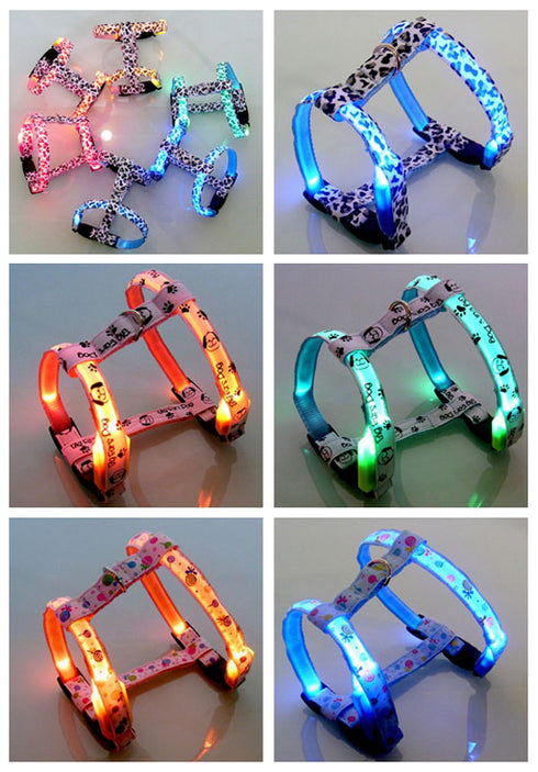 Ham albastru pentru caini Tize Flash