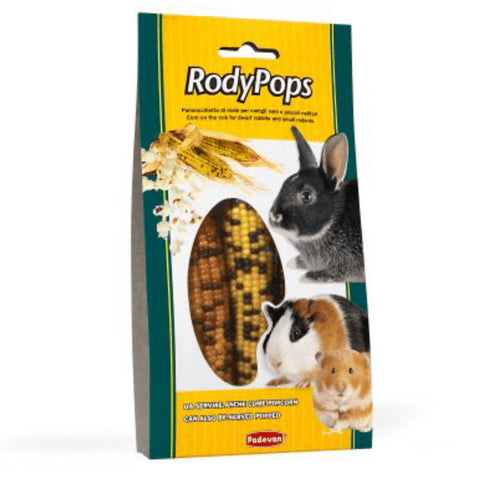Hrana pentru rozatoare Rodypops Padovan 100g