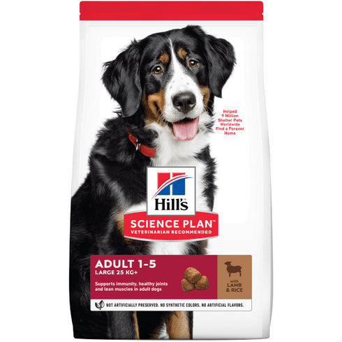 Hrana uscata pentru caini Hill's Science Plan Adult Large Breed Miel si orez 3kg
