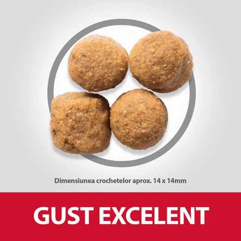 Hrana uscata pentru caini Hill's Science Plan Adult Large Breed cu pui 14kg