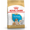 Hrana uscata pentru caini Royal Canin Bulldog Puppy 3 kg