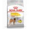 Hrana uscata pentru caini Royal Canin Medium Dermacomfort 3 kg