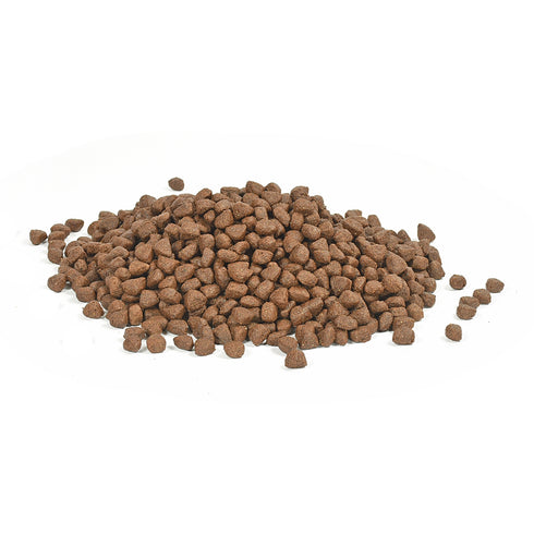 Hrana uscata pentru caini Devora Grain Free cu cal 7.5 kg