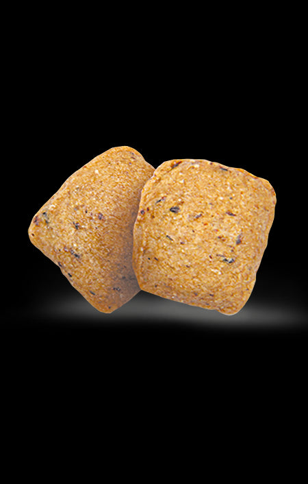 Hrana uscata pentru caini Green Pet Food Veggie Dog Adult 2 kg