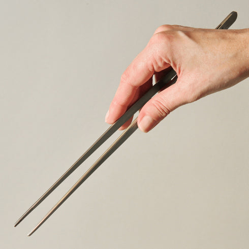 Cleste drept pentru aquascaping JBL PROSCAPE TOOL P STRAIGHT