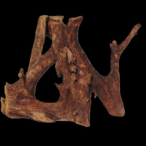 Radacina JBL Mangrove M 25-35cm