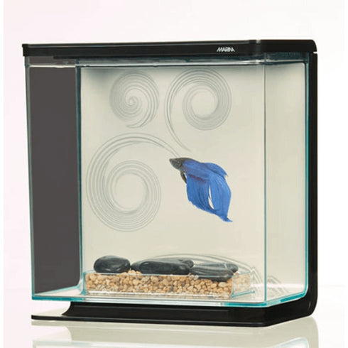 Kit complet pentru pesti Betta Marina Zen