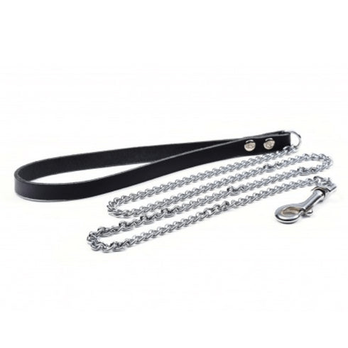 Lesa pentru caini Metal 2.5-90