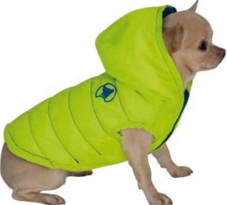 Haina Matlasata Moxie 50 Cm