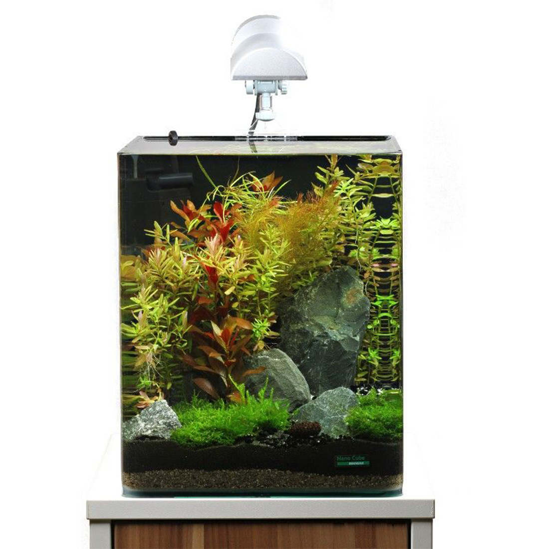 Dennerle Nano Cube 30l Complete Plus Led Acvariu din Sticla Dennerle Nano Cube Complete Plus 30L 30x30x35 cm