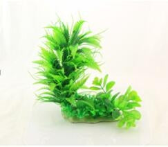 Planta decorativa pentru acvariu Ceratopteris & Hygrophila 23 cm