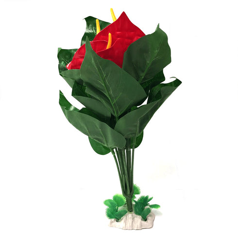 Planta decor pentru acvariu Jeneca Anthurium S 35 cm 1247