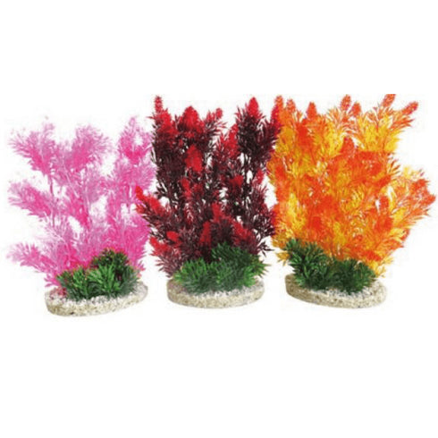 Planta decor pentru acvariu Sydeco Planta Aquaplant Color Hedge 15cm 349903