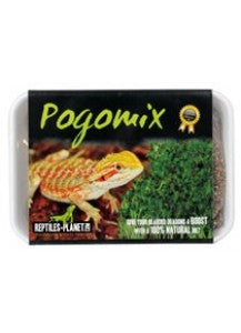 Kit Seminte pentru reptile Agama