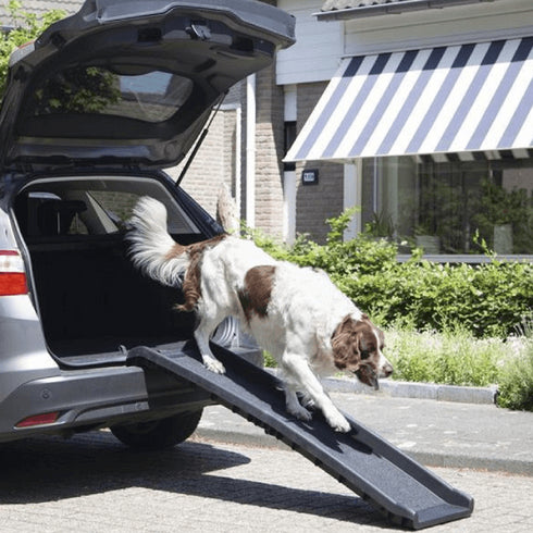 Rampa acces pentru caini Beeztees 156x40x15cm