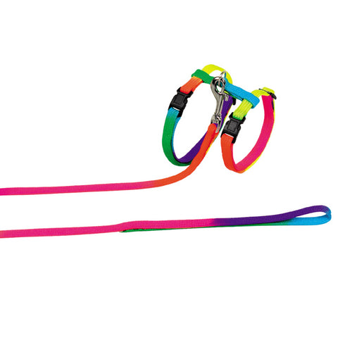 Set lesa si zgarda pentru pisici Nobby Rainbow